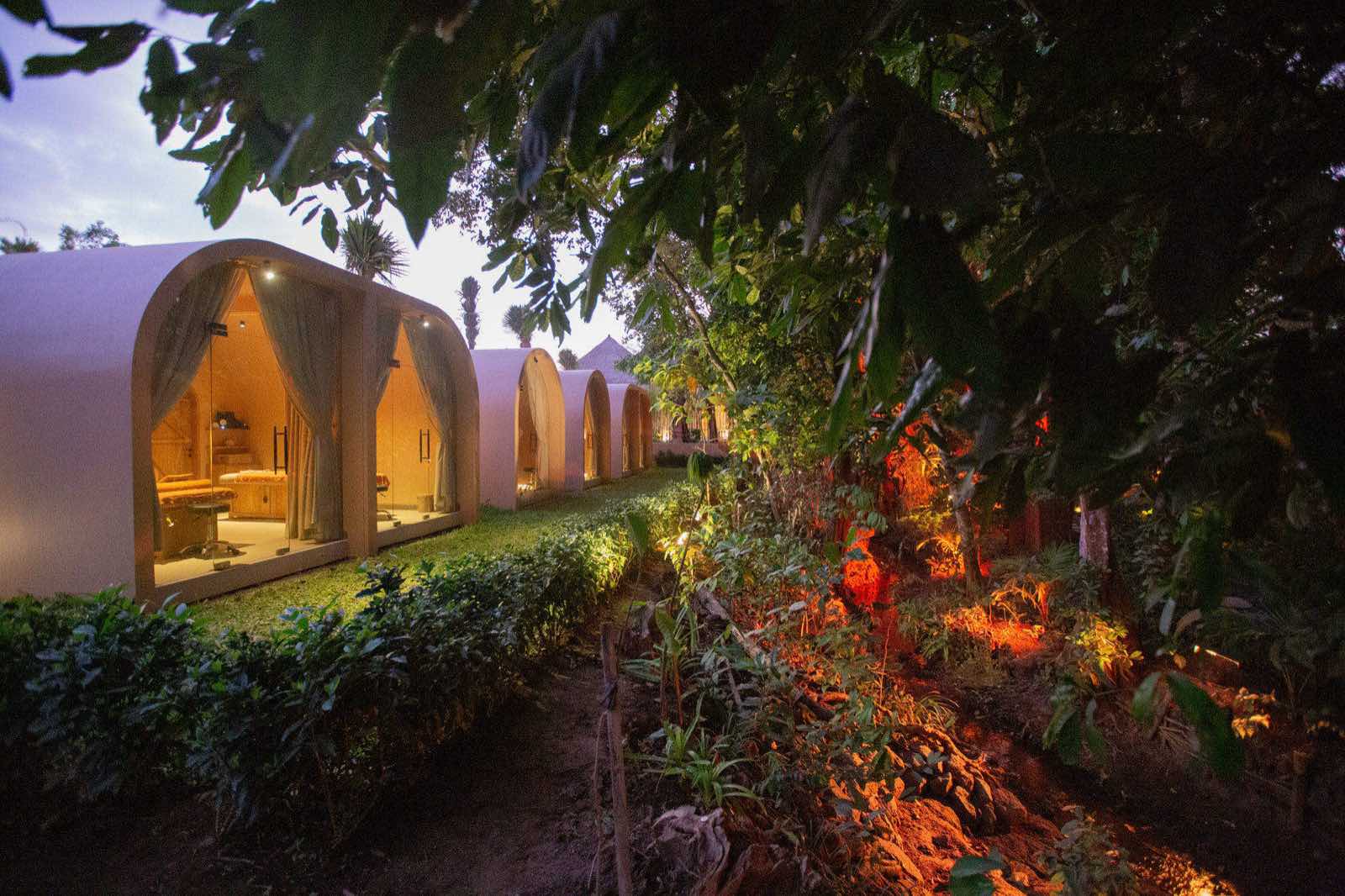Treatment pods glowing in the jungle at dusk